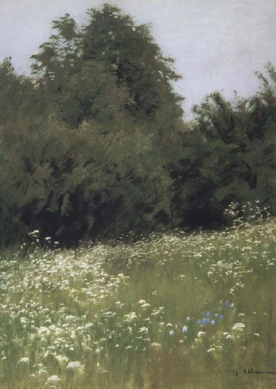 Levitan, Isaak Meadow at the forest edge oil painting image